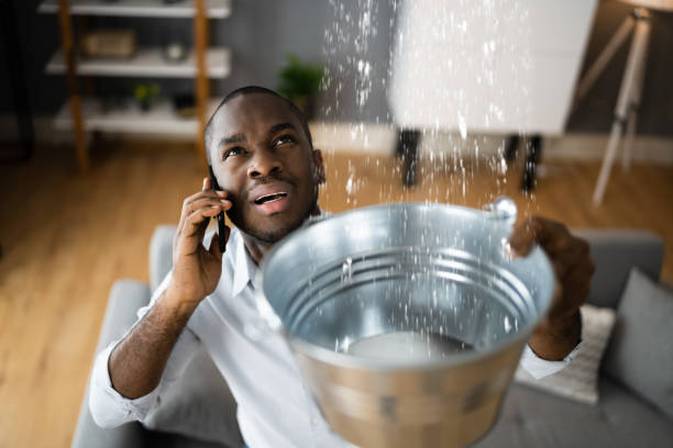 Best Ceiling water damage repair  in Churchill, PA