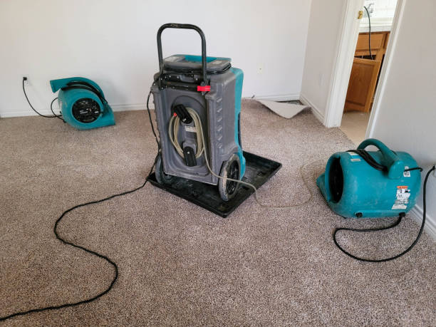 Best Professional water damage repair  in Churchill, PA