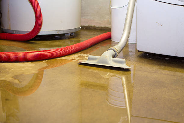 Best Local water damage restoration  in Churchill, PA